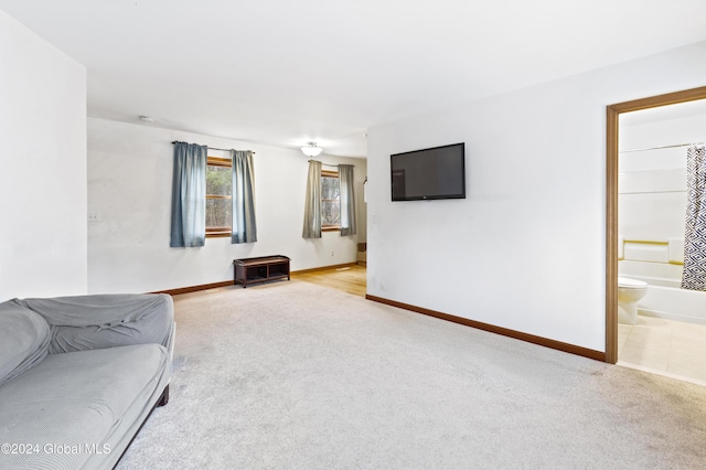 living room featuring light carpet