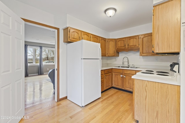 kitchen with sink, light hardwood / wood-style floors, and white refrigerator