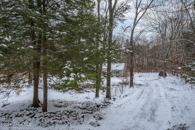 view of snowy yard