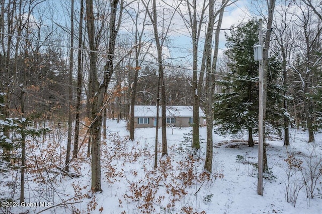 view of yard layered in snow