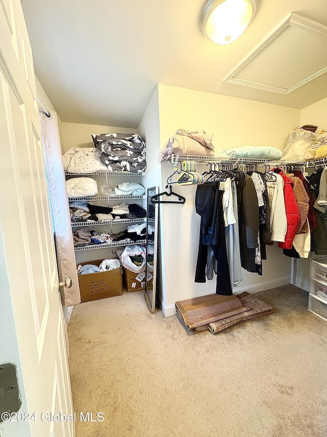 spacious closet with carpet flooring