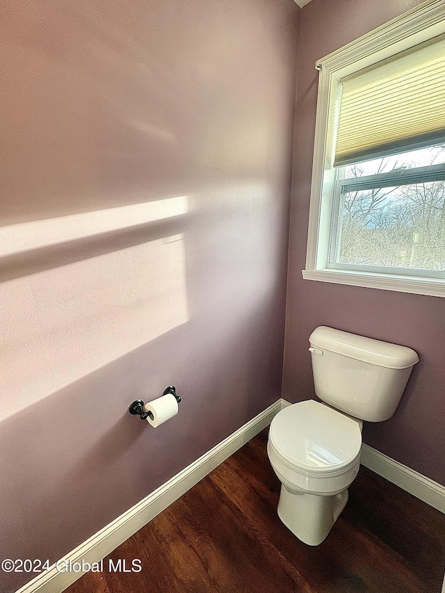 bathroom featuring wood-type flooring and toilet