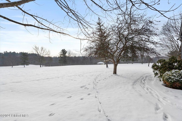 view of yard covered in snow