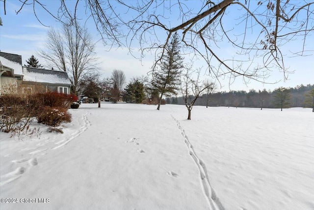 view of snowy yard