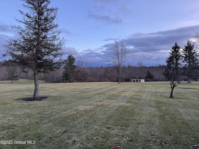 view of yard at dusk