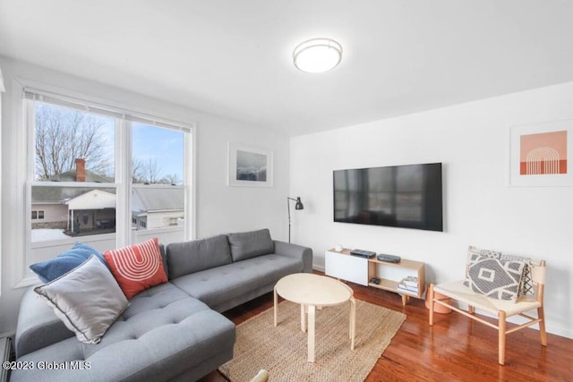 living room featuring hardwood / wood-style flooring