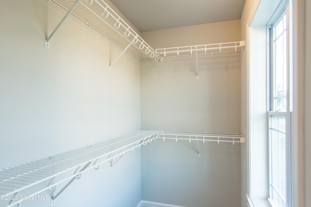 view of walk in closet