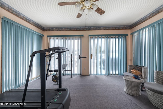 exercise room featuring carpet floors and ceiling fan