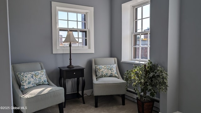 sitting room featuring carpet