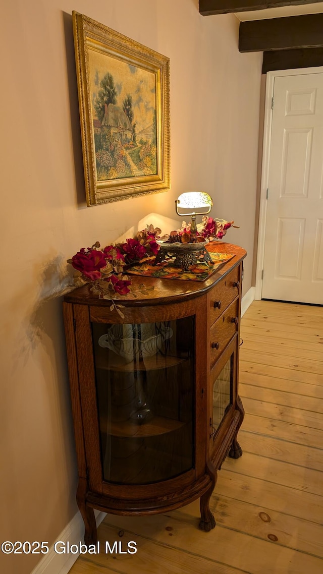 room details featuring wood-type flooring