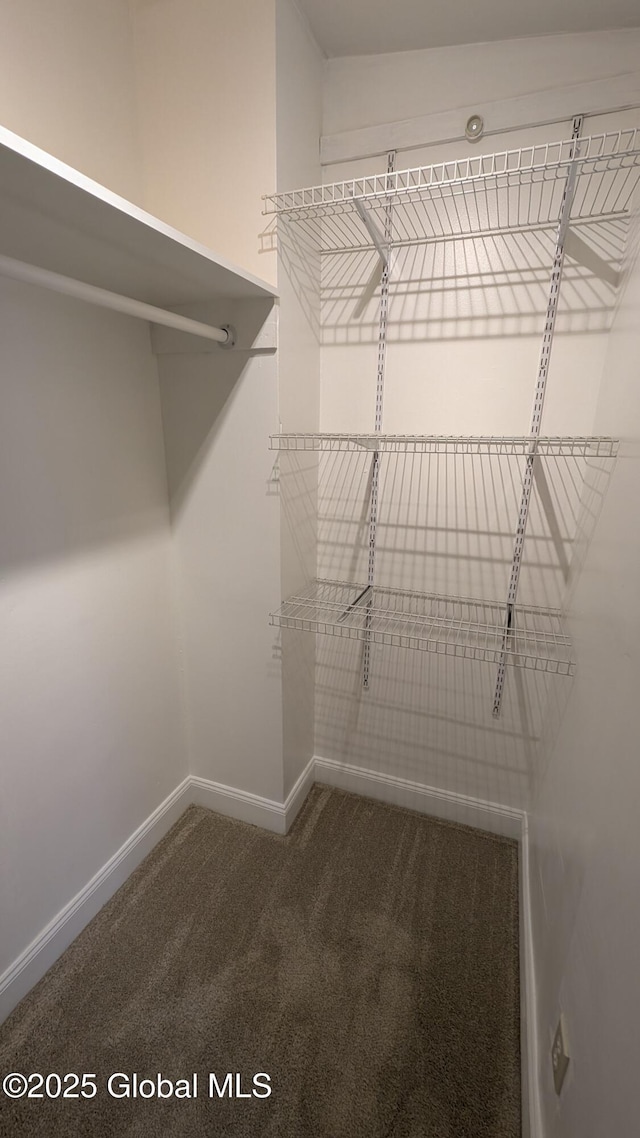 spacious closet with carpet