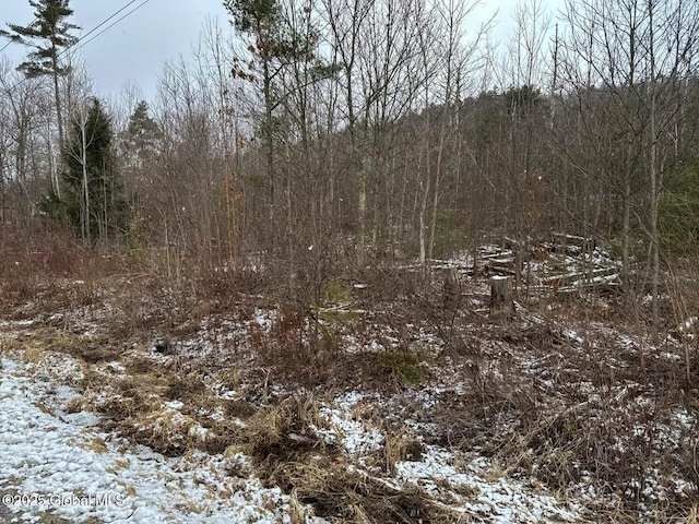 L37.100 Moss Rd, Lewis NY, 12950 land for sale