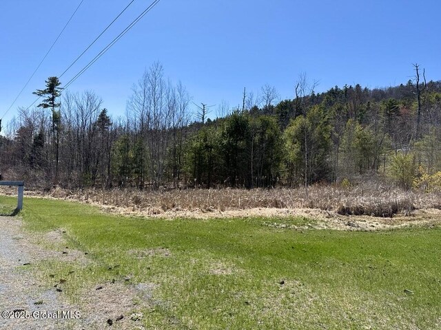 L37.100 Moss Rd, Lewis, NY 12950