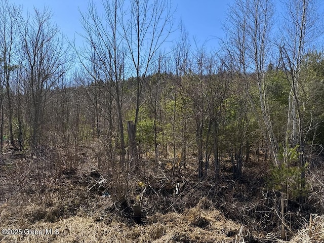 L37.100 Moss Rd, Lewis, NY 12950