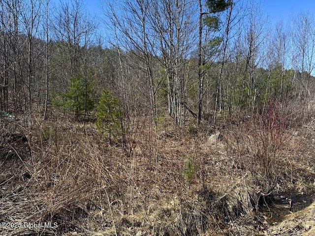 L37.100 Moss Rd, Lewis, NY 12950
