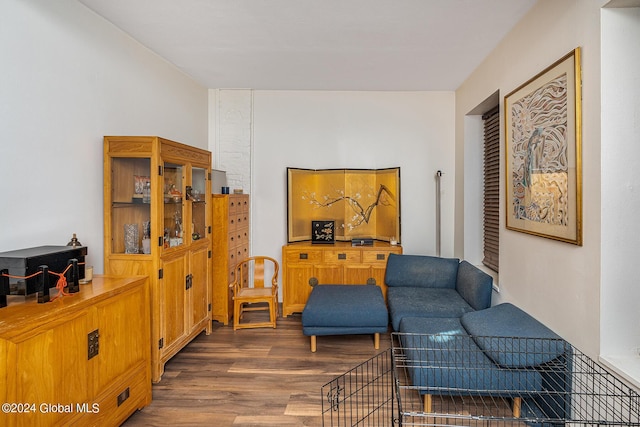 sitting room featuring dark hardwood / wood-style flooring