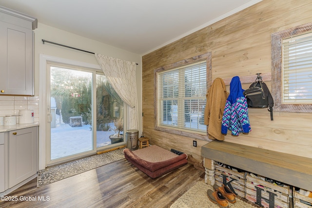 living area with wood finished floors, wooden walls, and healthy amount of natural light