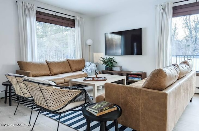 living room with baseboard heating and a wealth of natural light