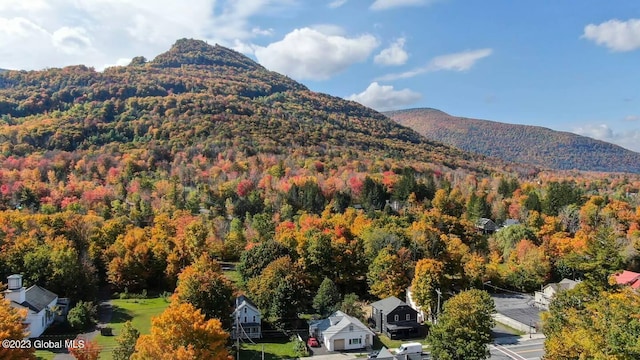 7913 Main St, Hunter, NY 12442 - mountain view