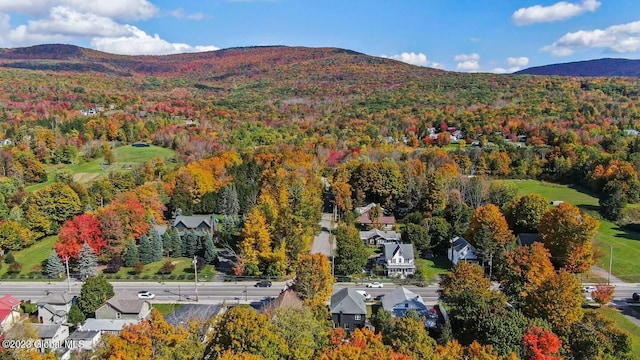 7913 Main St, Hunter, NY 12442 - birds eye view of property with a mountain view