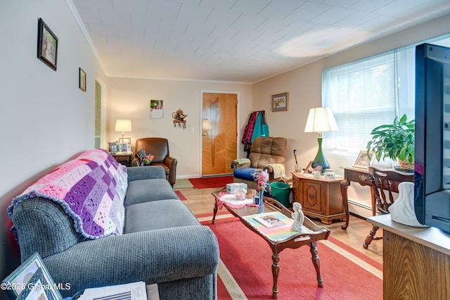 292 N Main St, Northville, NY 12134 - living area featuring a baseboard heating unit, crown molding, and wood finished floors