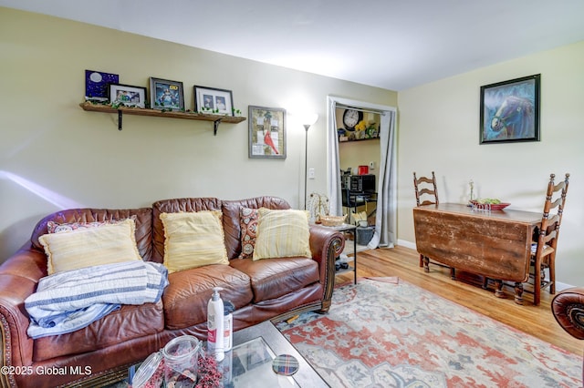 292 N Main St, Northville, NY 12134 - living room with wood finished floors