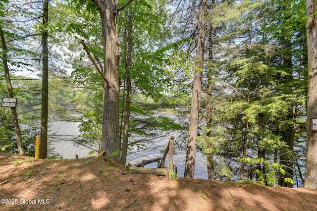 292 N Main St, Northville, NY 12134 - view of yard with a water view and a dock