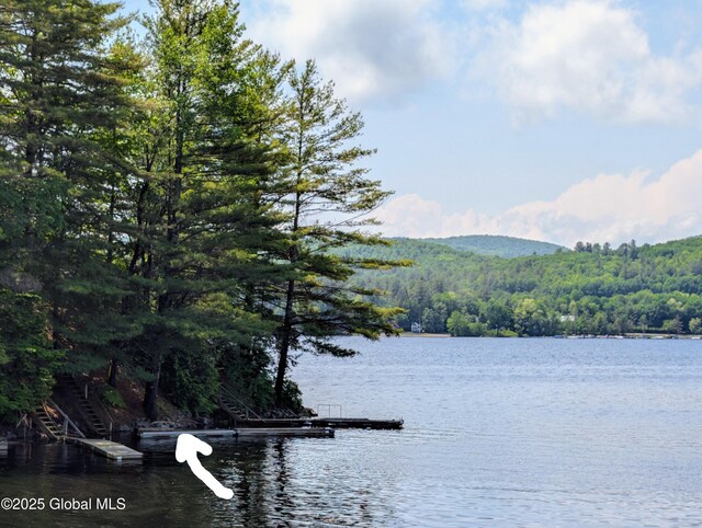 292 N Main St, Northville, NY 12134 - water view featuring a forest