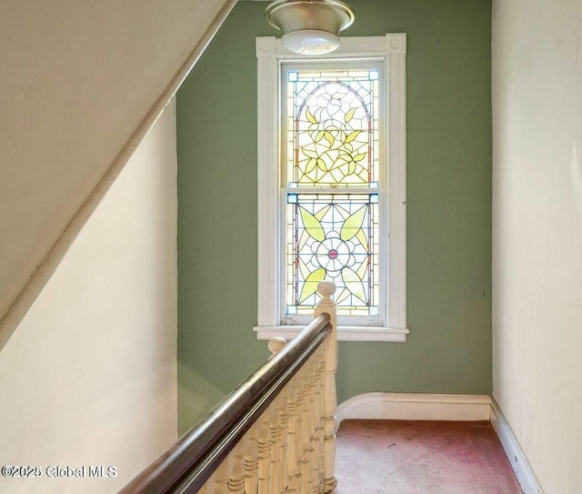 staircase featuring carpet