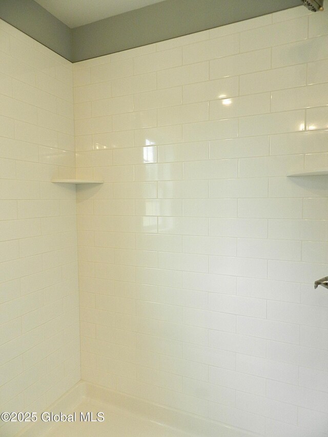 71 Bluebird Rd, Moreau, NY 12803 - detailed view of tiled shower