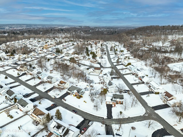 view of snowy aerial view