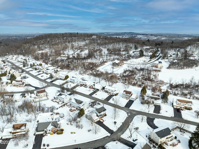 view of snowy aerial view