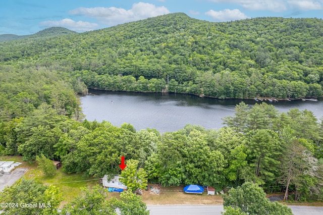 drone / aerial view with a water and mountain view