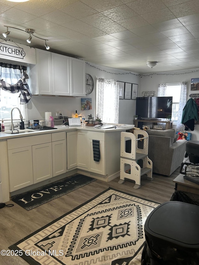 kitchen with a sink, wood finished floors, open floor plan, white cabinetry, and light countertops