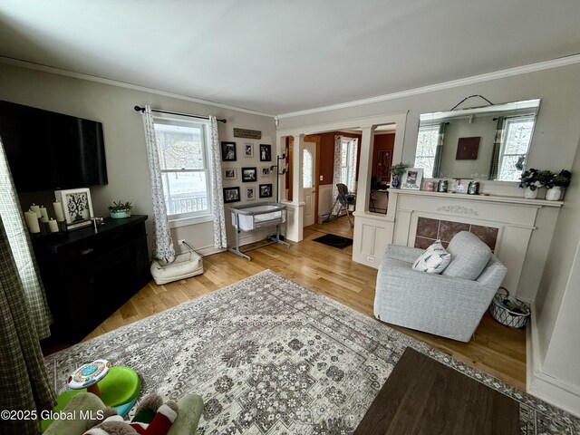 living room featuring light wood-type flooring and crown molding