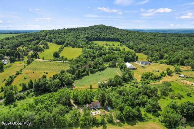 birds eye view of property featuring a rural view