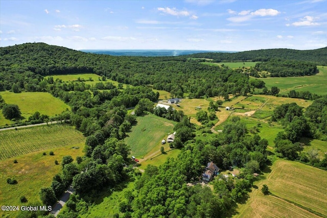 aerial view with a rural view