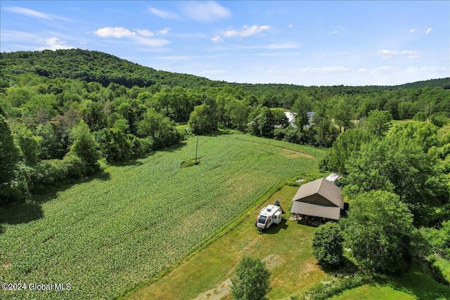 drone / aerial view with a rural view