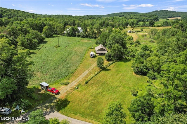 bird's eye view featuring a rural view