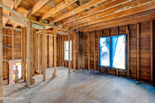 miscellaneous room with a wealth of natural light