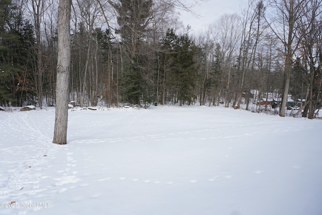 view of yard layered in snow