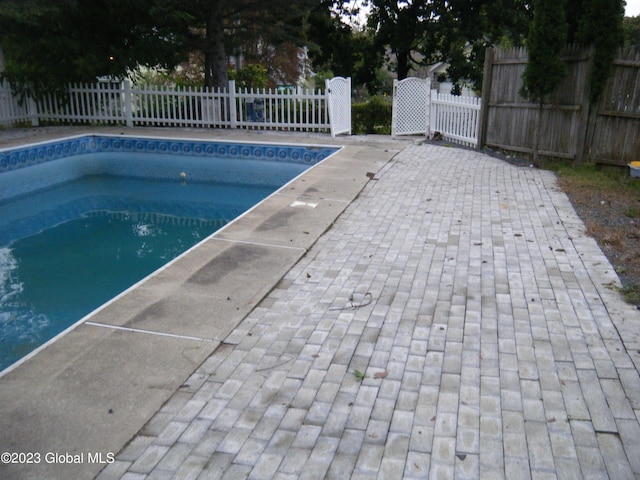 view of swimming pool