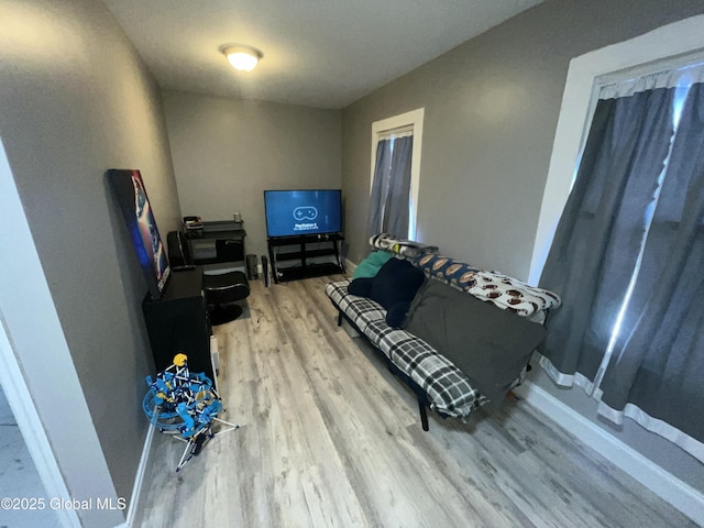 living room featuring hardwood / wood-style floors