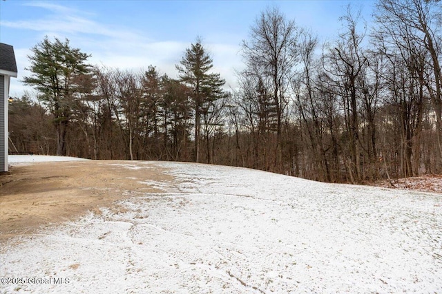 view of yard covered in snow