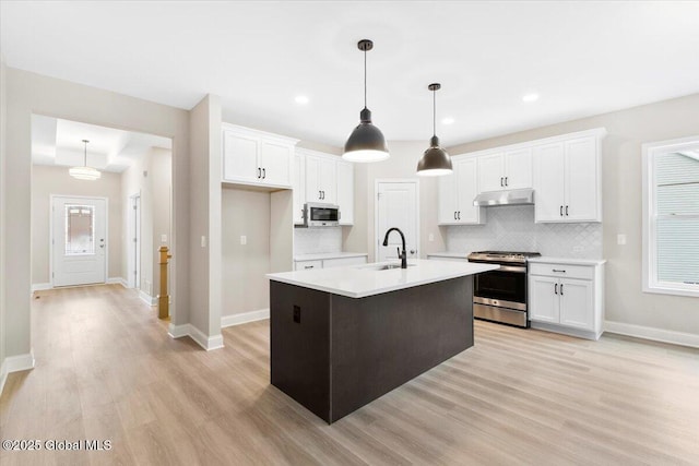 kitchen with stainless steel appliances, a sink, white cabinets, and under cabinet range hood