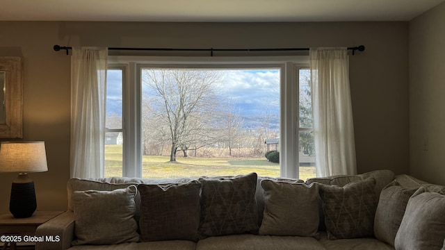 living room featuring a healthy amount of sunlight