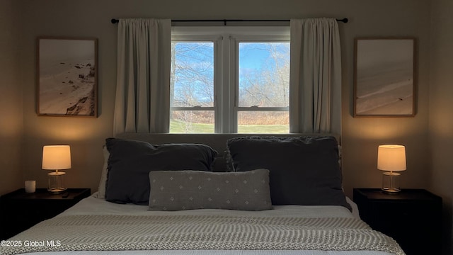 bedroom featuring multiple windows