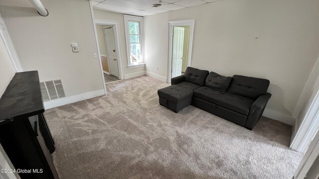 living room featuring a drop ceiling and light colored carpet