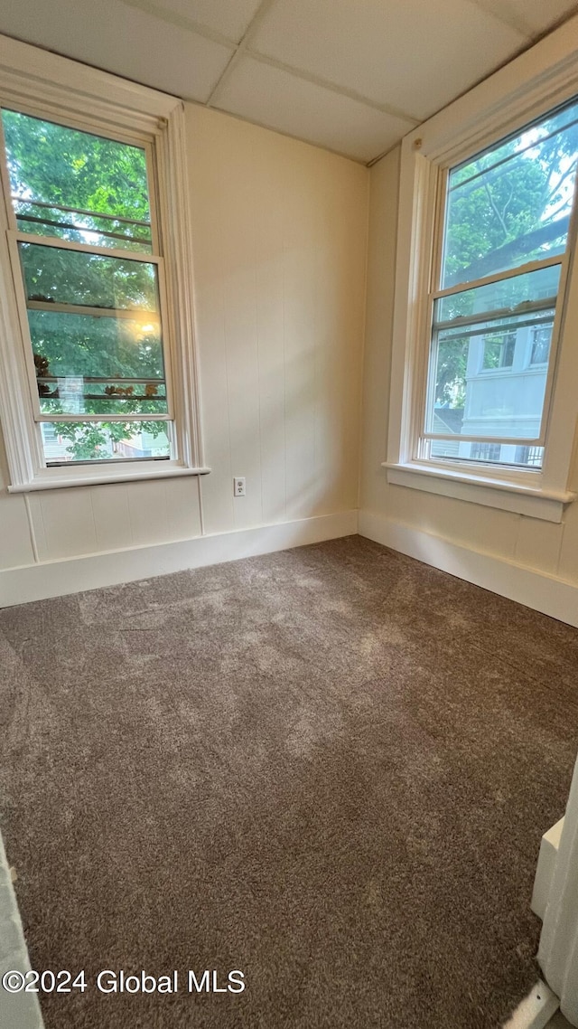 empty room featuring a drop ceiling and carpet