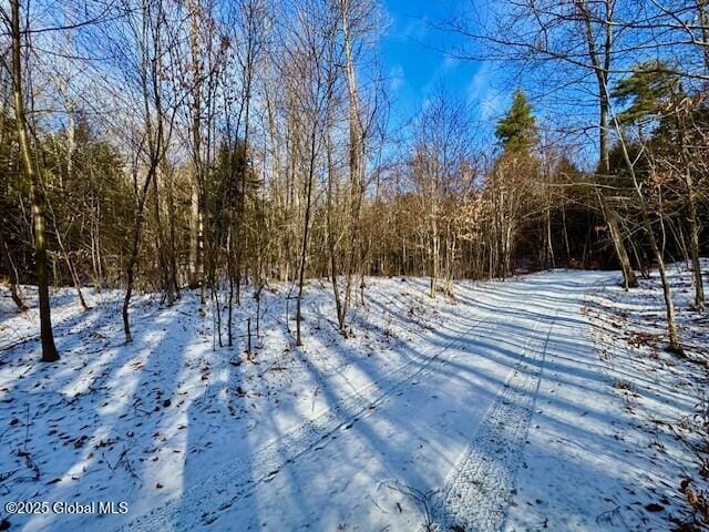 Listing photo 3 for L37.3 E Green Pond Way, Hebron NY 12832